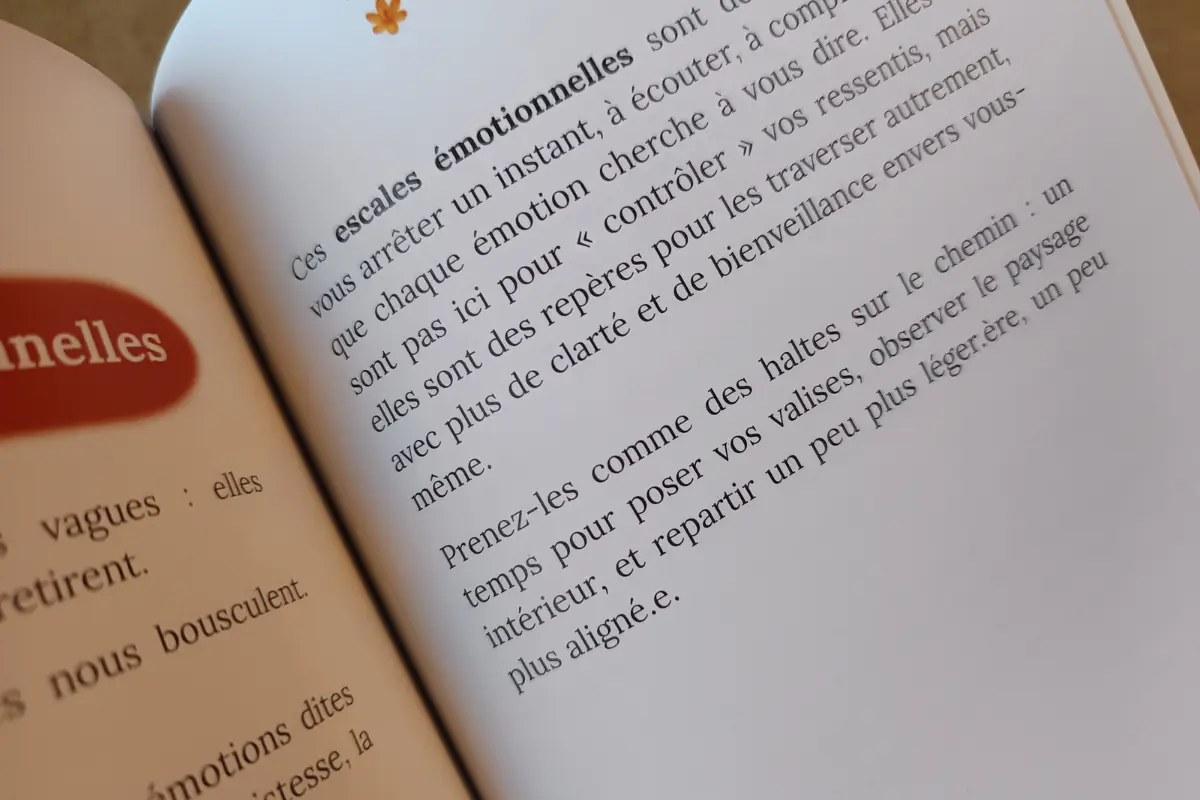 Livre Hypersensibilité & Émotions : Accueillir mes vagues émotionnelles – « Je cherche un apaisement immédiat »