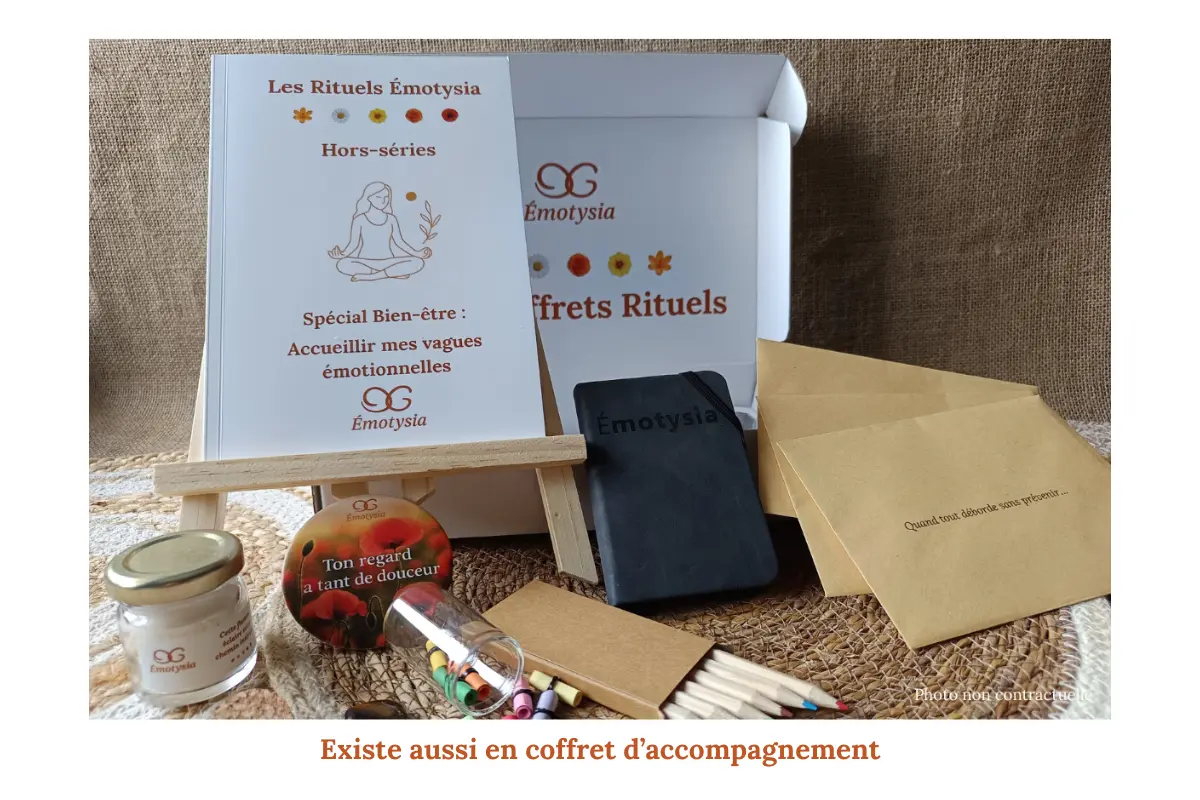 Livre Hypersensibilité & Émotions : Accueillir mes vagues émotionnelles – « Je cherche un apaisement immédiat »